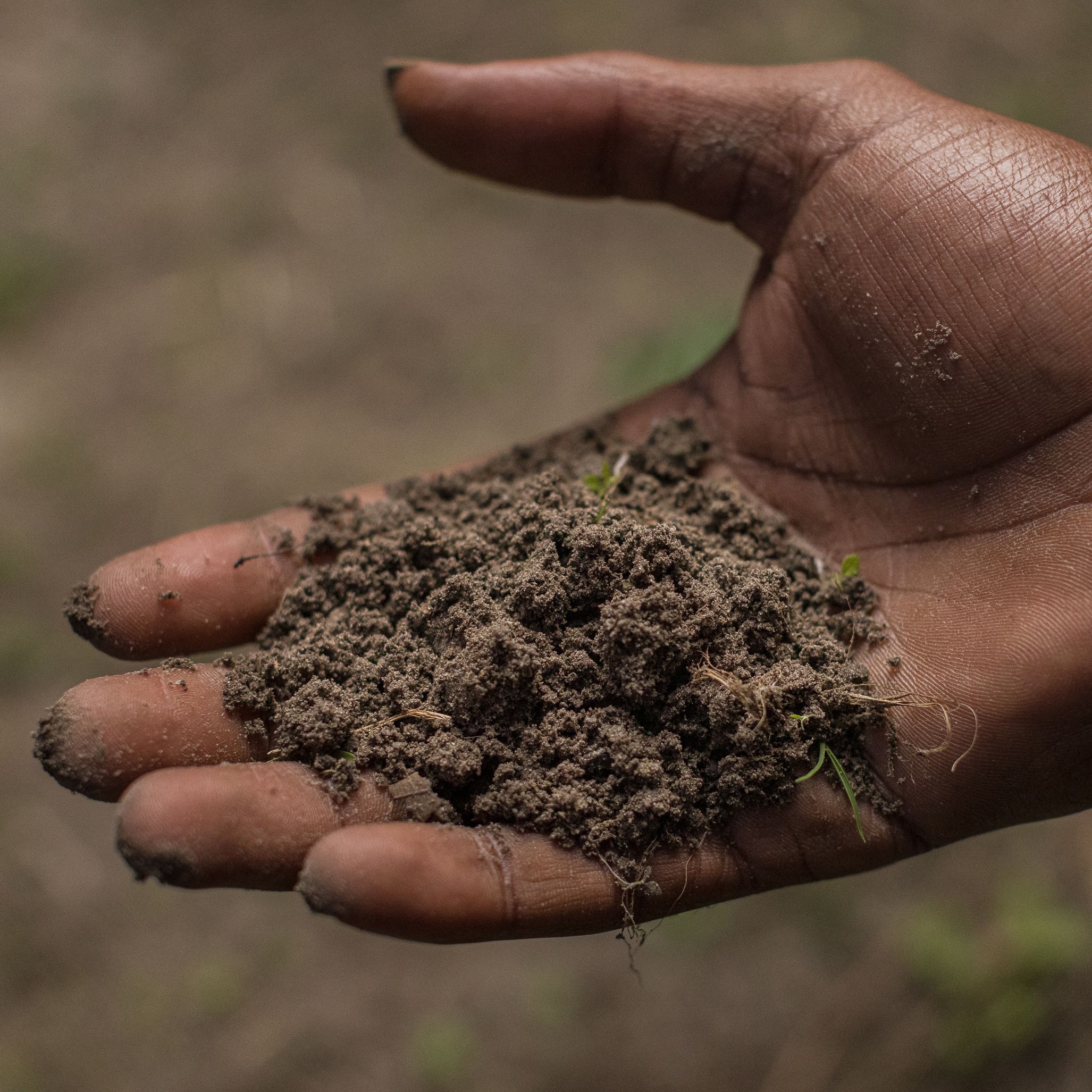 A close up photo of Kendrick Ransome's hand holding fertile soil from his farm
